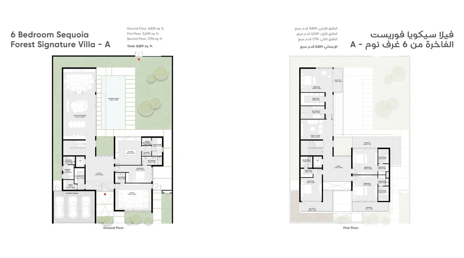 Sequoia at Masaar 6 BR Villa Floor Plan